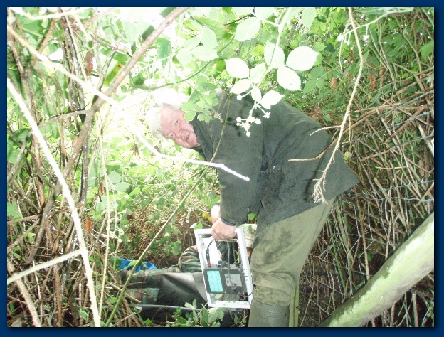 600x449 pixels (190K)